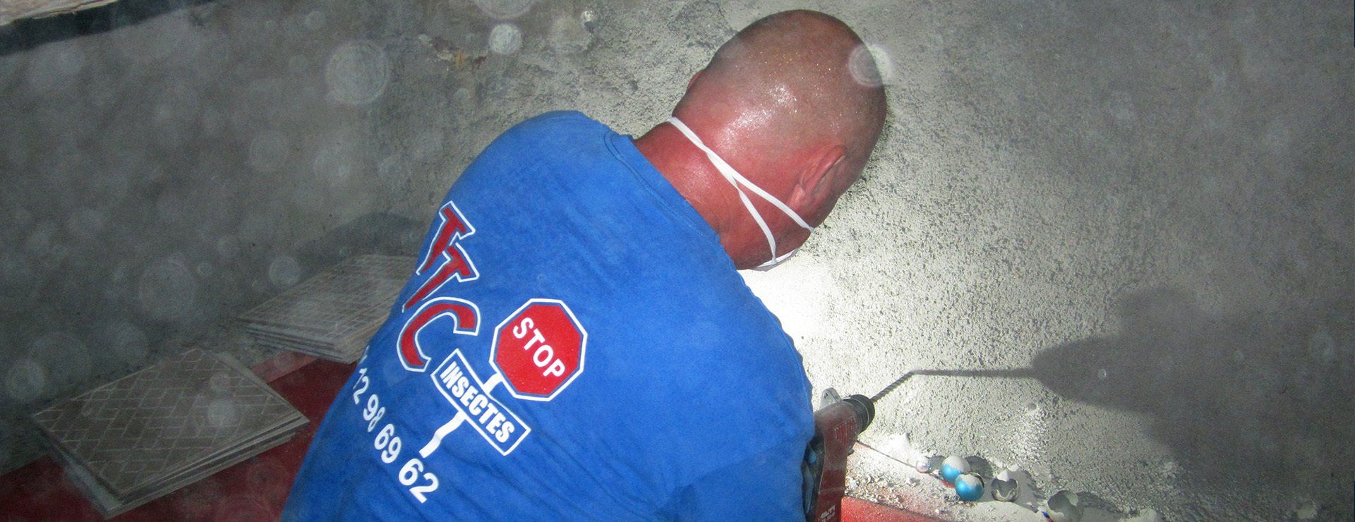 Travaux de désinsectisation