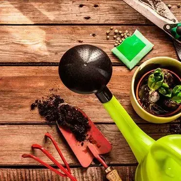 Una regadera verde está sobre una mesa de madera al lado de una planta en maceta.