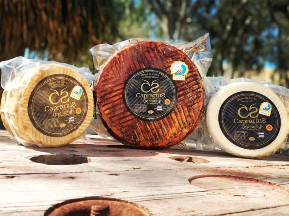 Tres trozos de queso están sobre una mesa de madera.