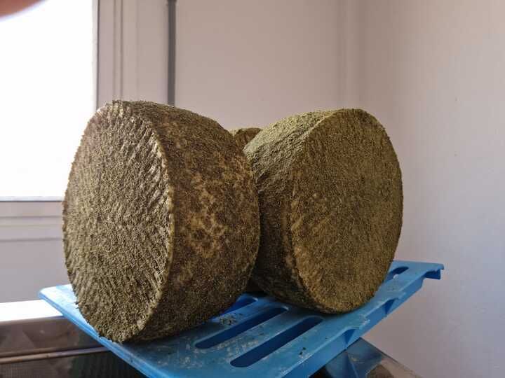 Dos trozos de queso están sobre una bandeja azul.