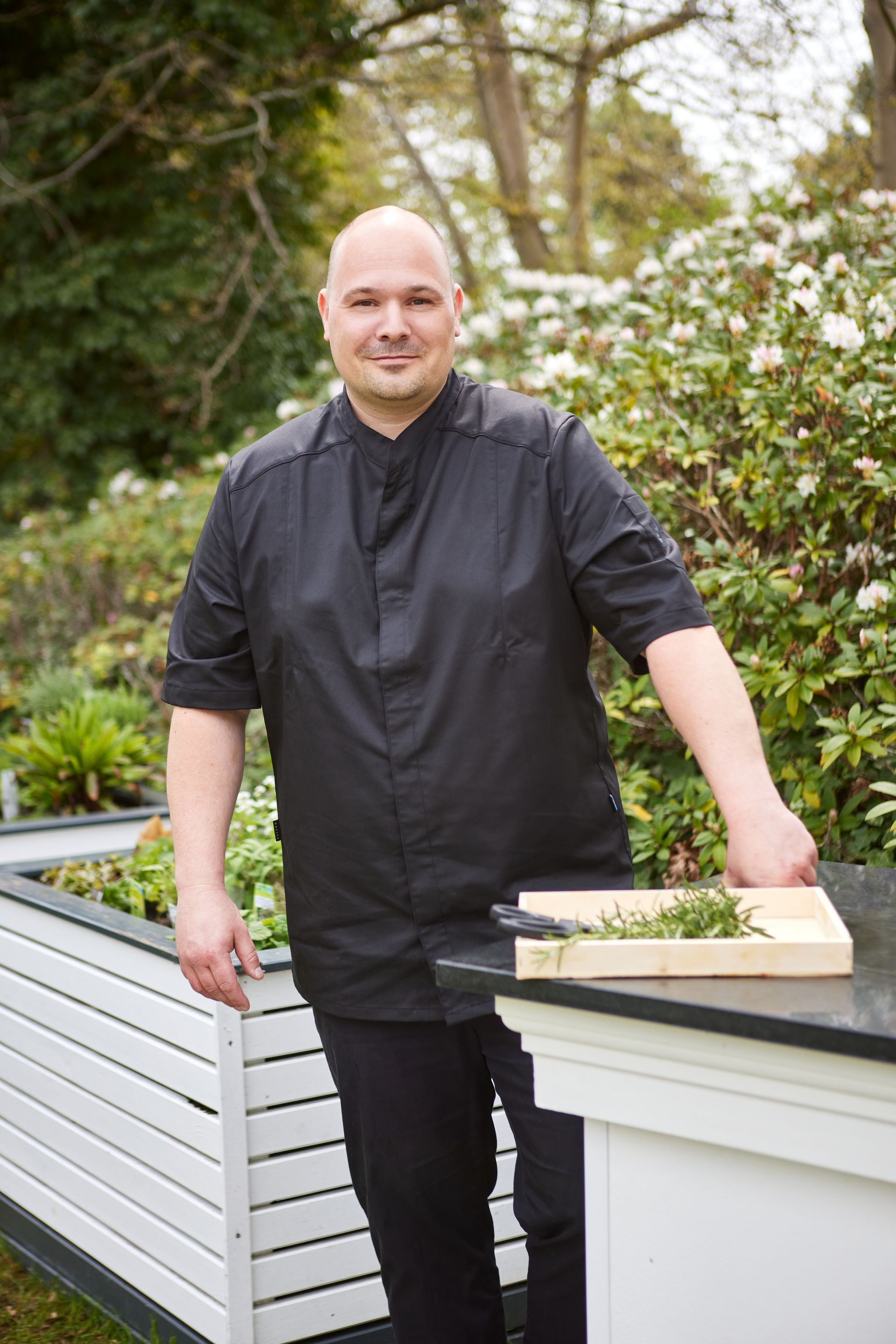 Küchenchef Maik Gültzow Küchenchef im Hotelgarten und erntet frische Kräuter