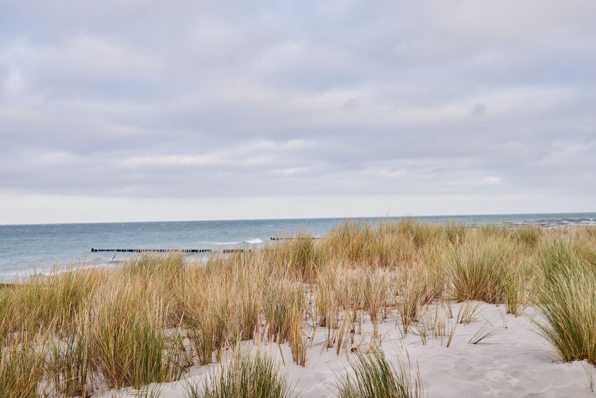 Mittenmang zwischen Ostsee und Bodden Blick auf die Ostsee und die Dünen