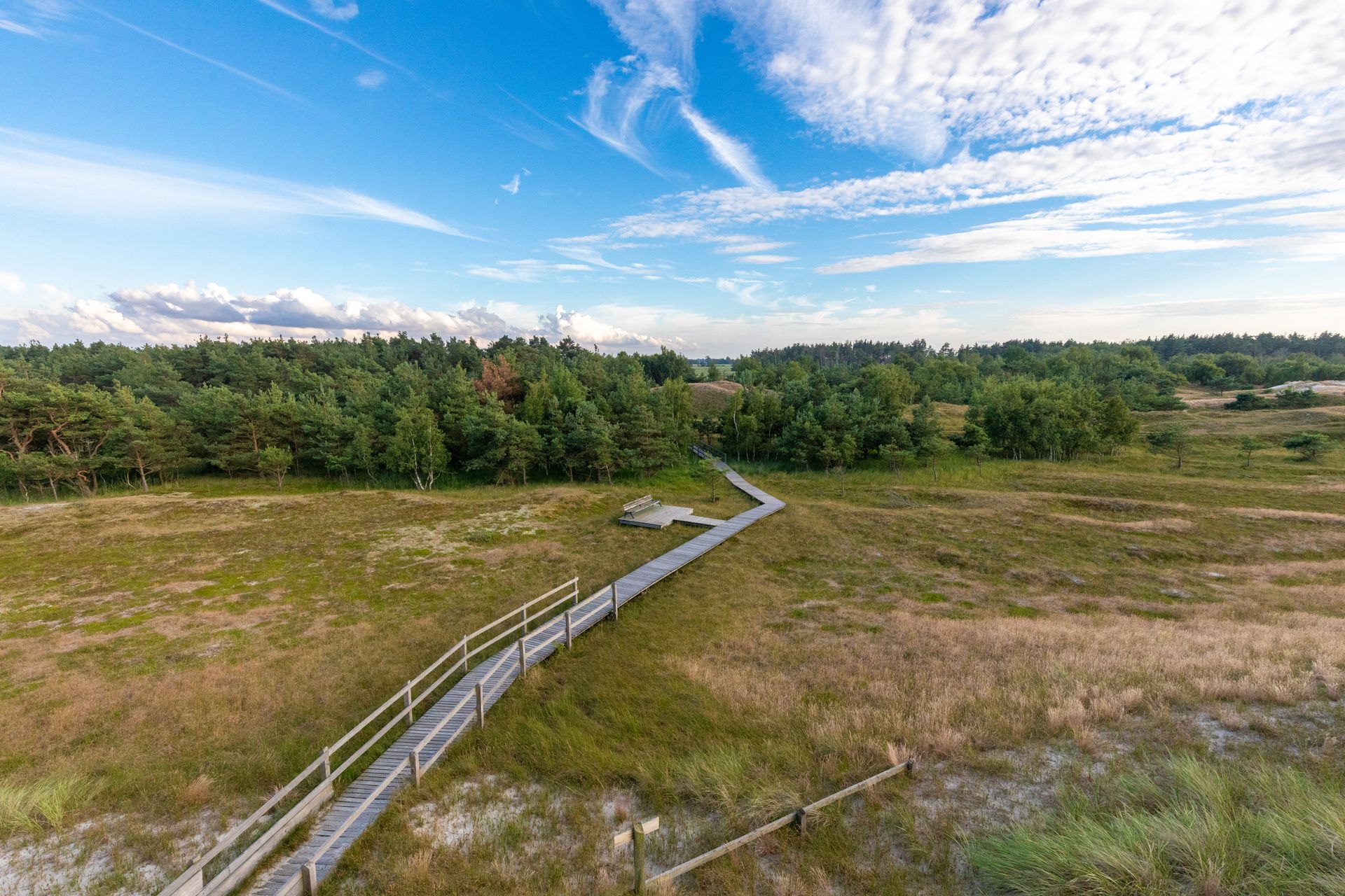 Ein hölzerner Steg führt durch ein grasbewachsenes Feld in Richtung eines Waldes unter blauem, bewölktem Himmel.