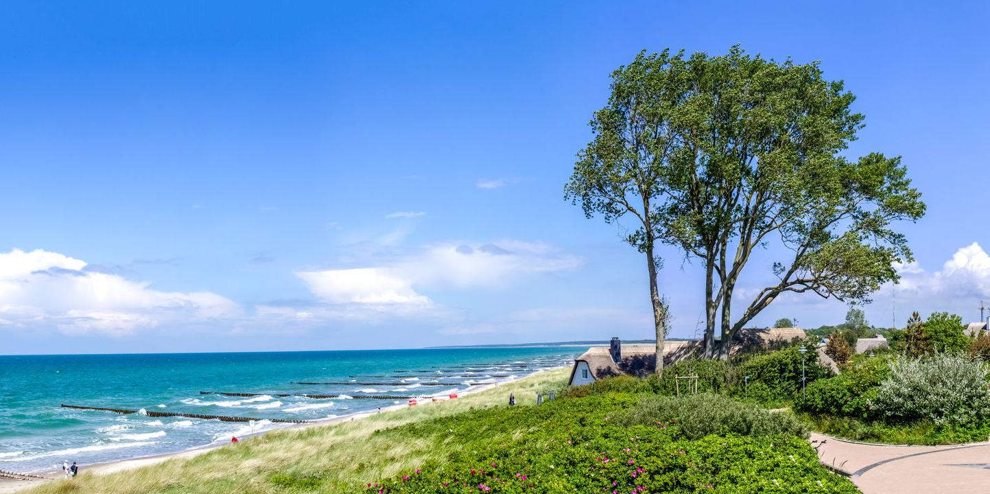 Eine Strandszene unter blauem Himmel. Rechts steht ein Baum mit grünem Laub. Links erstreckt sich das Meer.