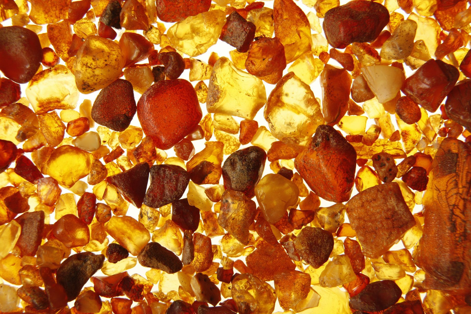 Viele Geschenke im Strandhotel zingst