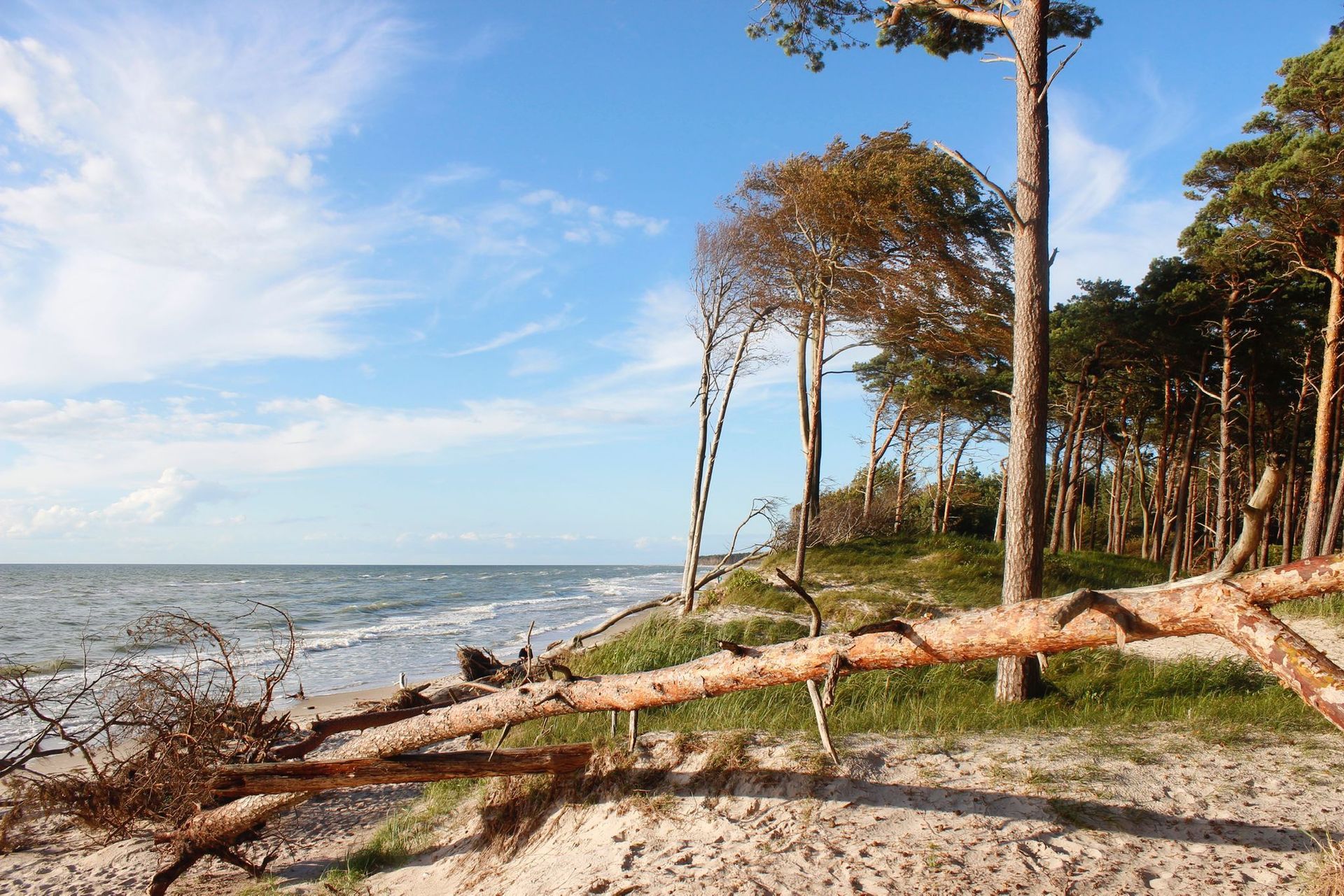 Weststrand auf Fischland-Darß-Zingst.