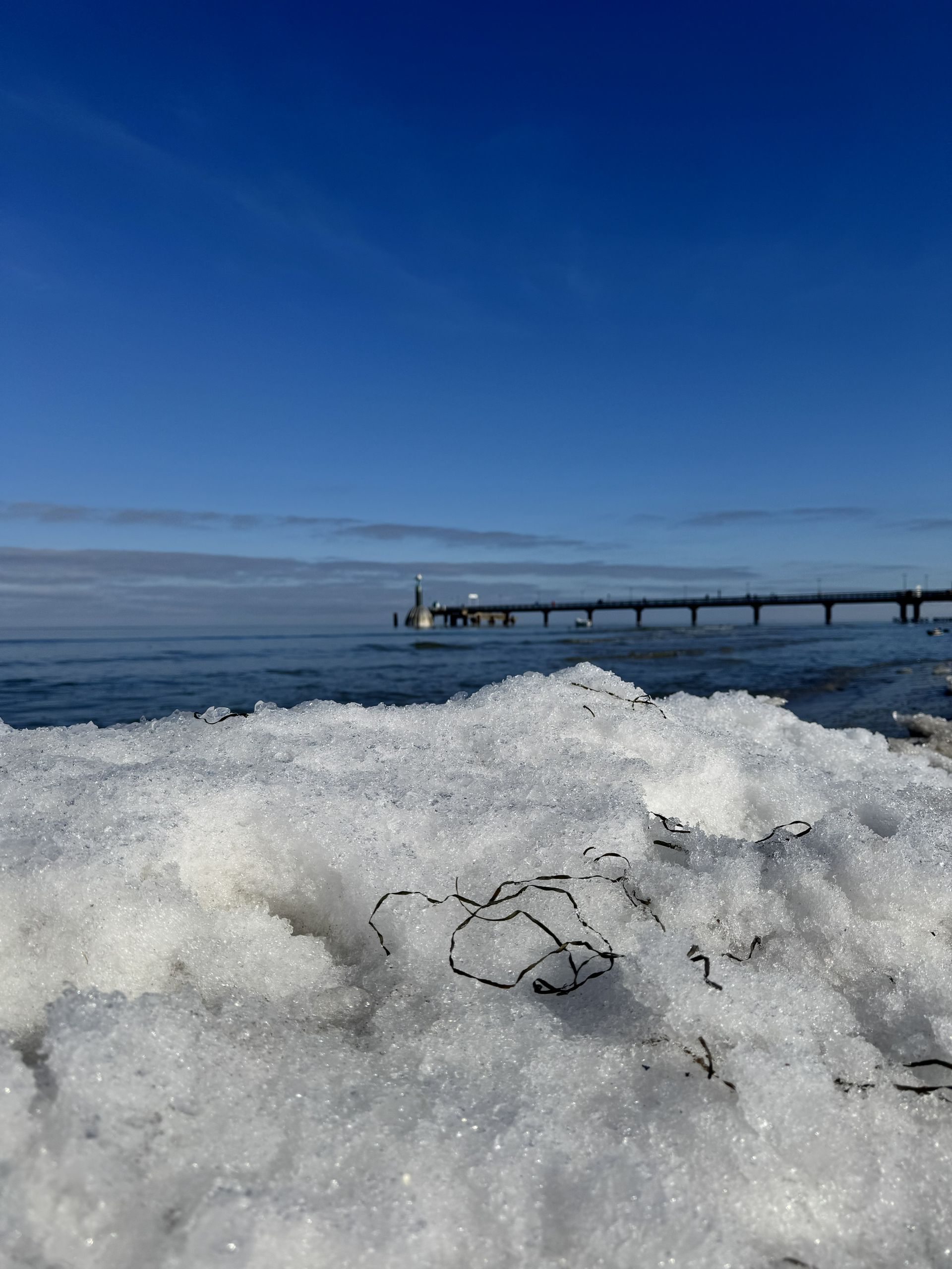 Die Seebrücke von Zingst, teilweise von Eis und Schnee umgeben, unter blauem Himmel.