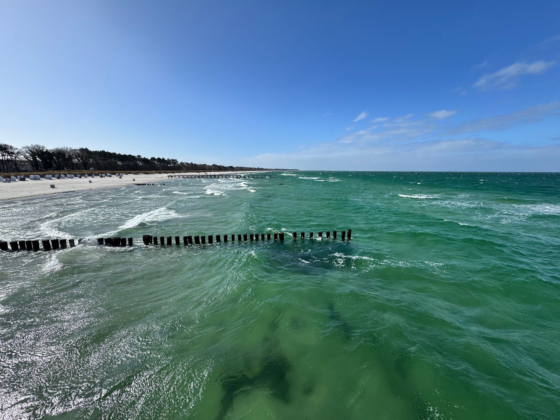 Ein Außenpool im Garten des Strandhotel Zingst mit Sonnenliegen und Sonnenschirmen auf dem Rasen.