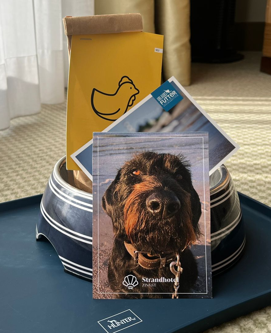 Hundeporträt, Leckerlis und Willkommenskarte auf einem Tablett mit einem Hundenapf. Gelbe Tasche mit Entenmotiv.