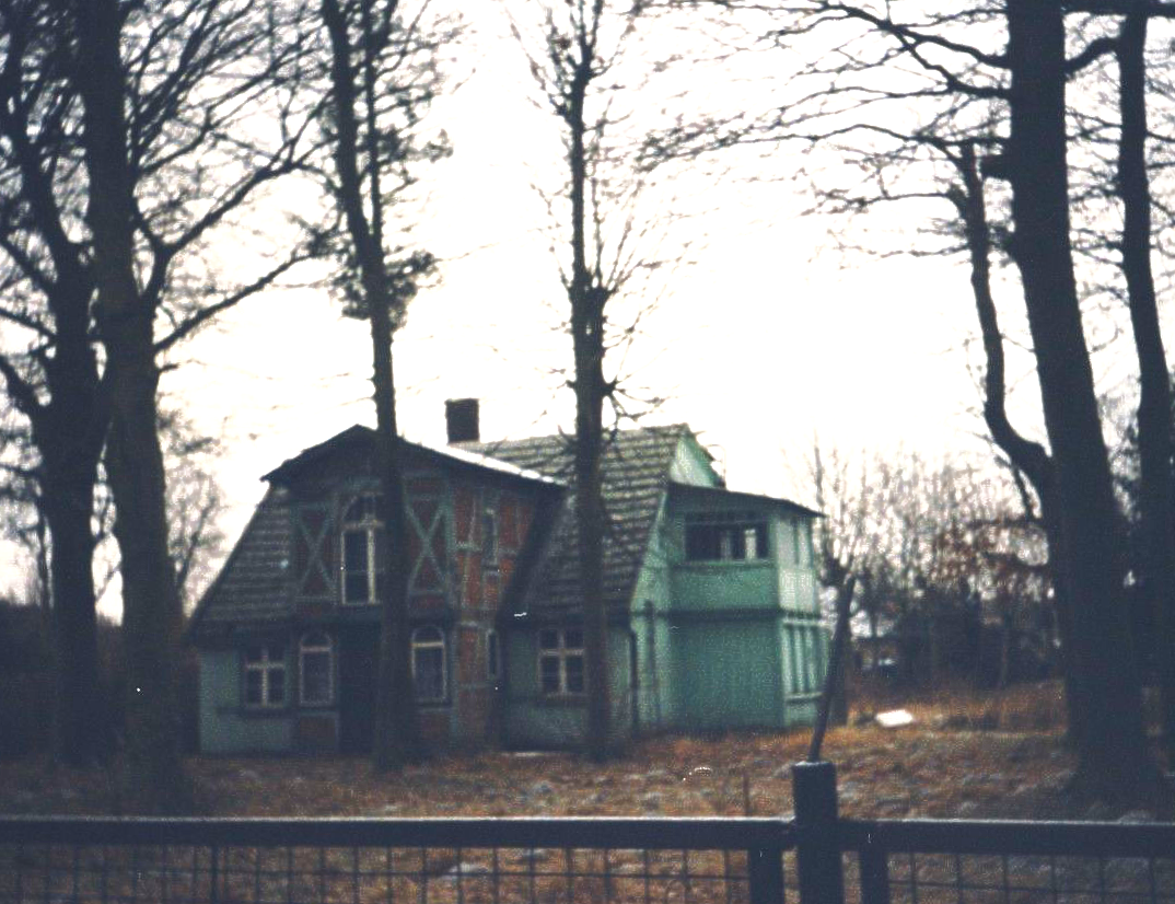 Schatten einer Person mit erhobenen Armen in einem Pool, der auf den gefliesten Boden darunter fällt, blaues Wasser.
