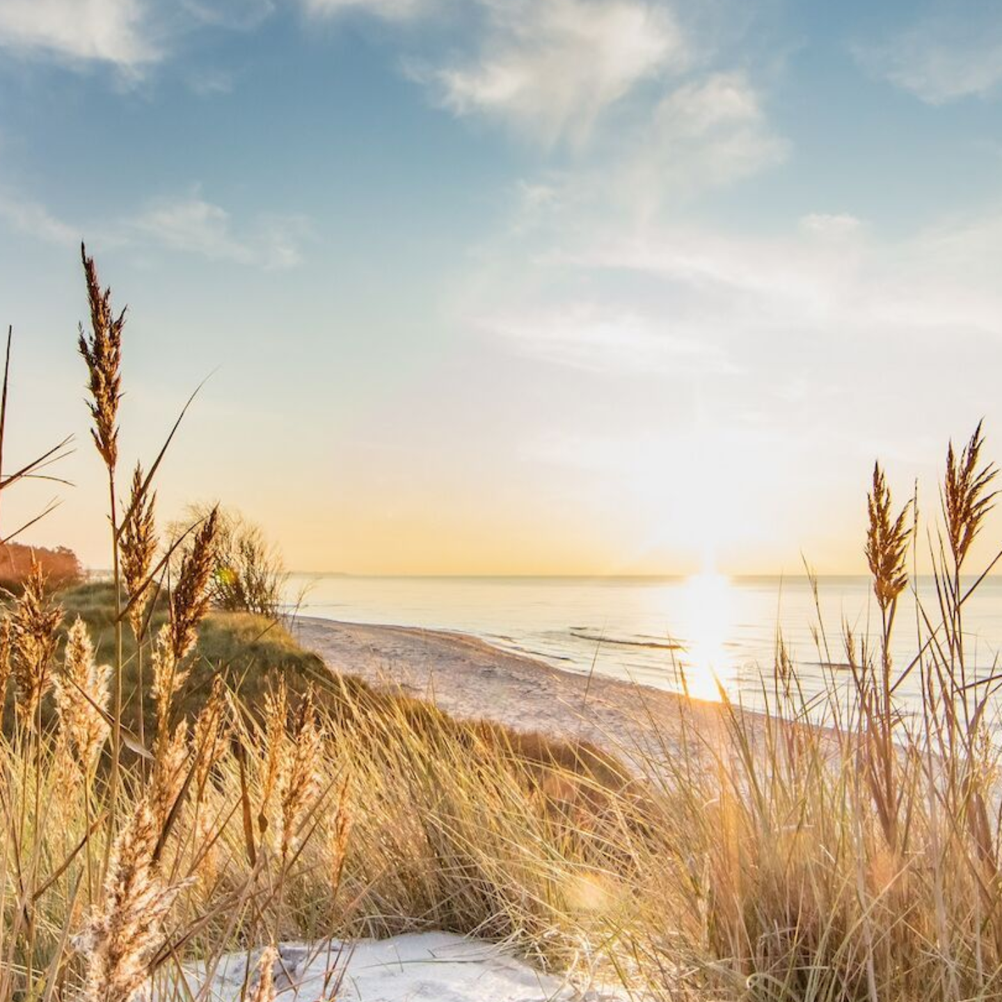 Dünen der Ostsee Küstenansicht bei Sonnenaufgang: Strand, Meer, Sonne und hohe Gräser. Der Himmel ist blau mit weichen Wolken.