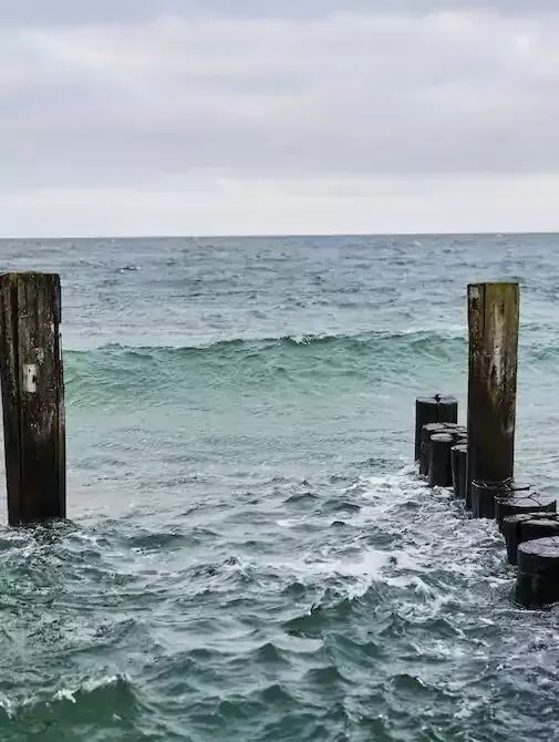 Holzpfähle in der Ostsee