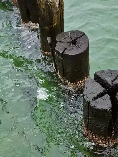 Buhnen im Wasser.