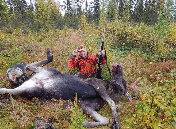 Metsästäjä ja metsästyskoira hirvisaaliin kanssa