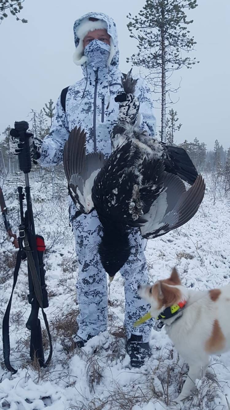 Talvista metsästystä