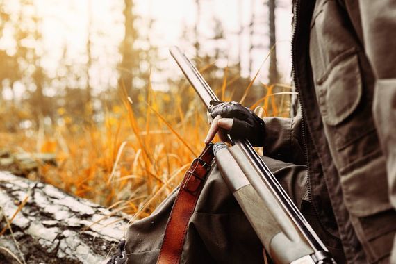 korkealehonkiertajat