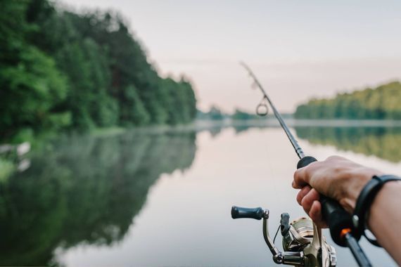 korkealehonkiertajat