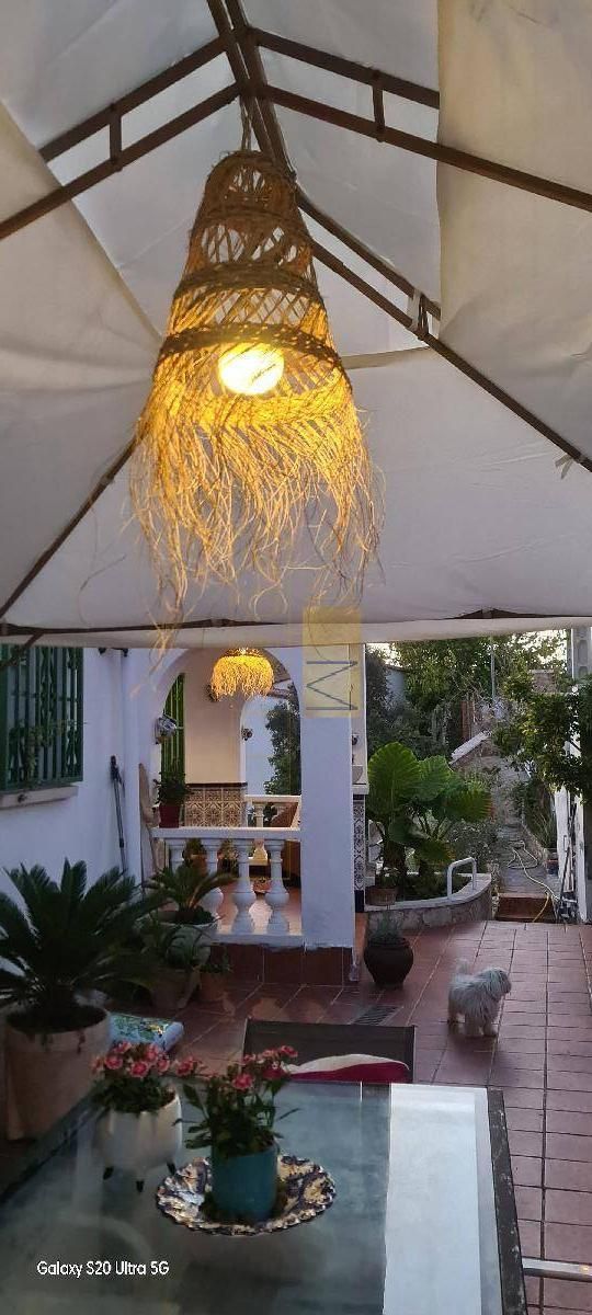 Una lámpara tejida cuelga de un dosel sobre un patio con plantas, muebles y un gato.