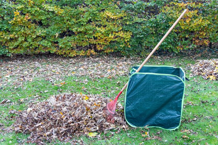 Jardin avec un tas de feuilles, un râteau, un sac devant une haie