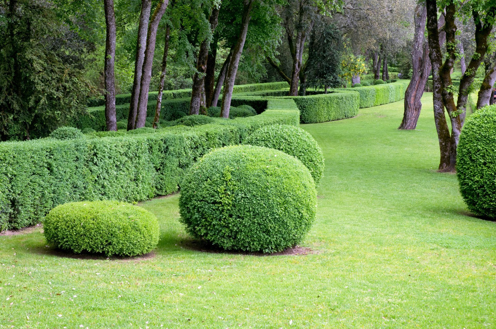 Haies de formes arrondies et rectangulaires
