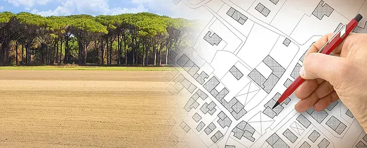 Una persona está dibujando un mapa de un campo con árboles en el fondo.