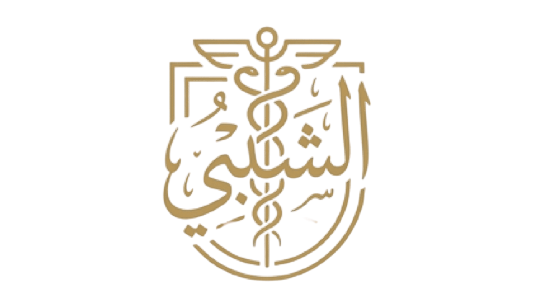 أبو زيد الشلبي