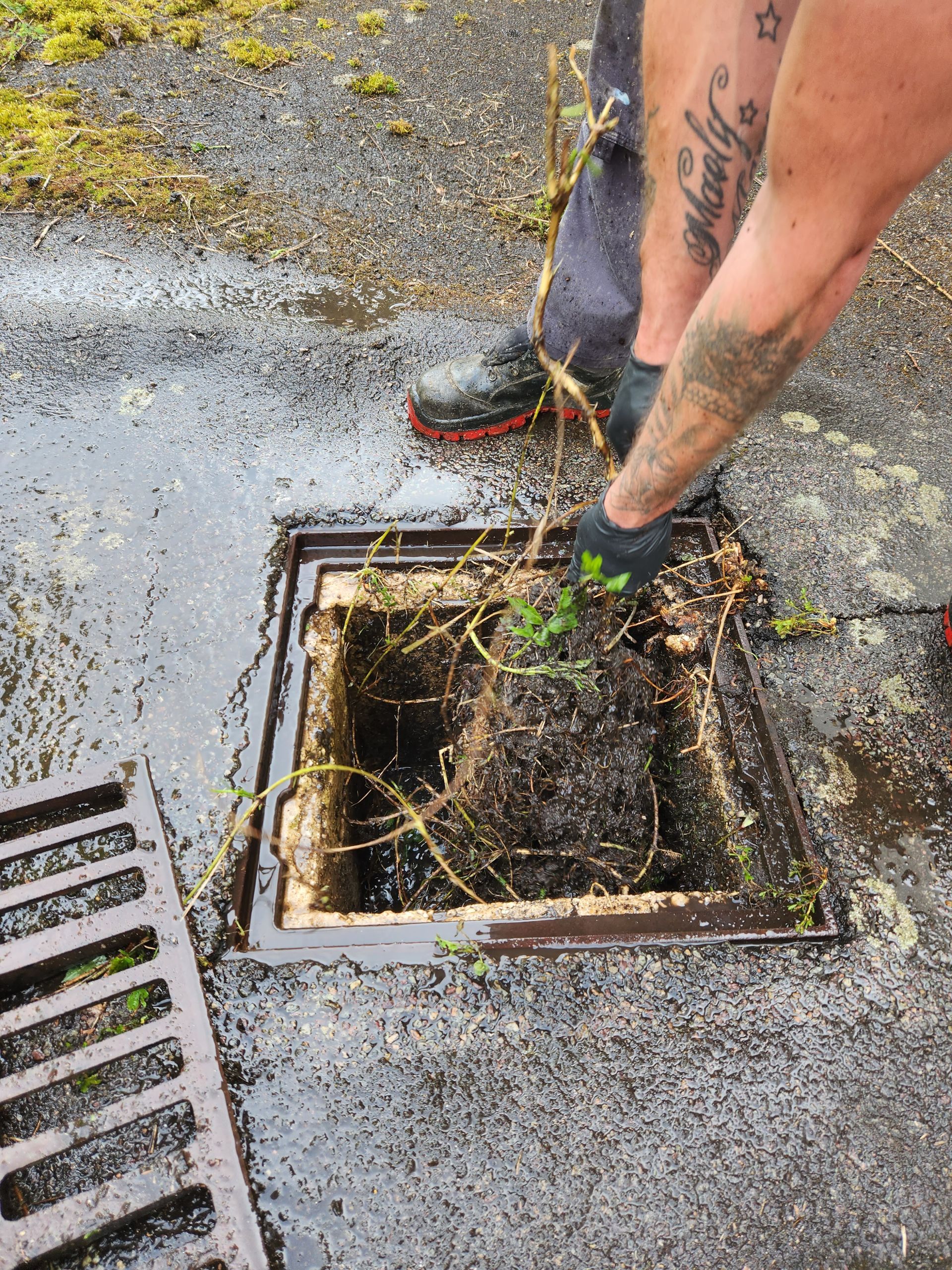 Des racines qui bouchaient une canalisation