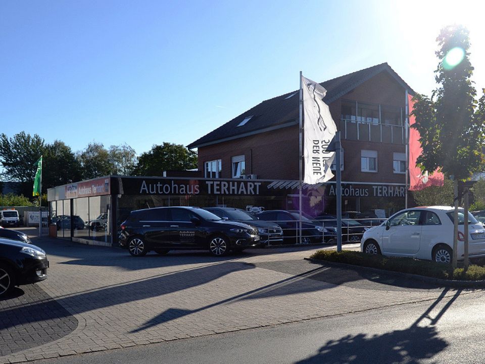 Außengelände von Autohaus Terhart GmbH & Co. KG mit mehreren geparkten Autos