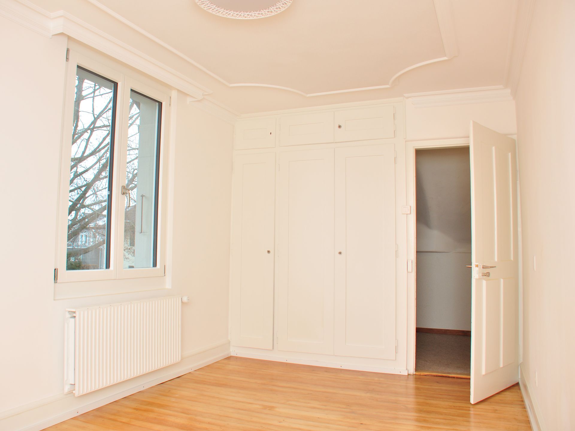 Büro - Fussladen, Eckgesimse, Deckenstab