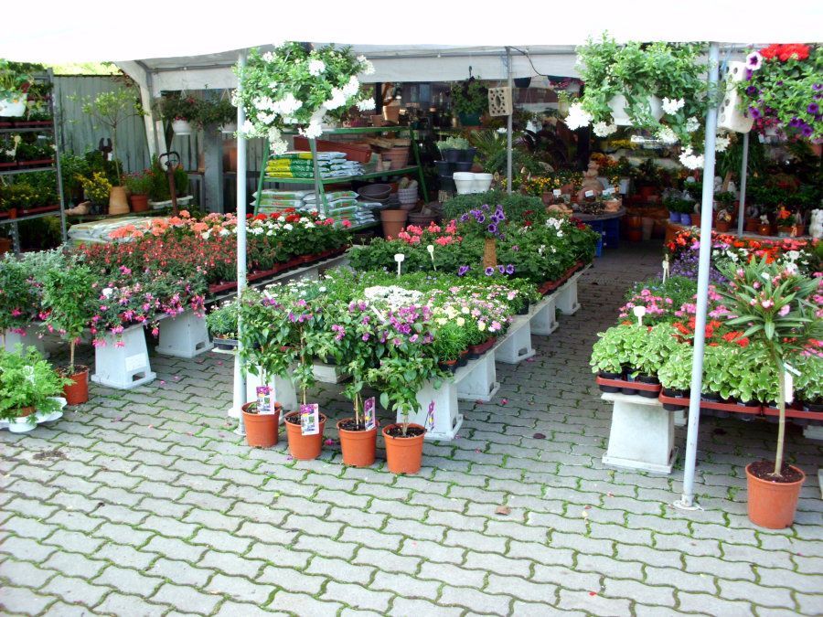 Ein lebhafter Blumenladen präsentiert auf einer mit Ziegeln gepflasterten Fläche unter einem weißen Baldachin verschiedene Pflanzen und Hängekörbe.