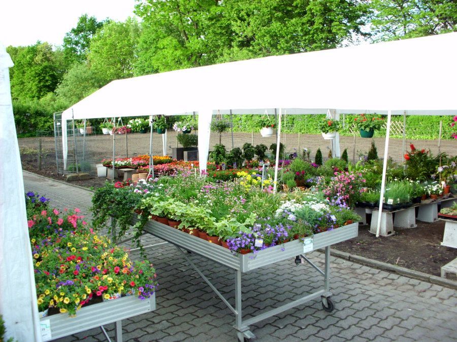 Gartencenter mit blühenden Pflanzen, die auf Tischen unter einem weißen Baldachin ausgestellt sind.