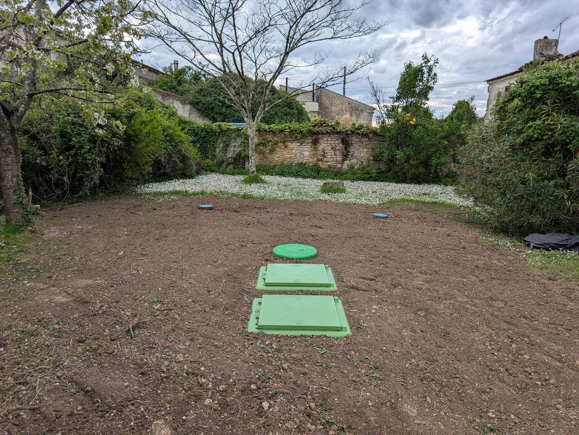 Un jardin avec trois couvercles de fosse septique verts posés sur la terre nue, avec un arbre et un mur de pierre en arrière-plan.