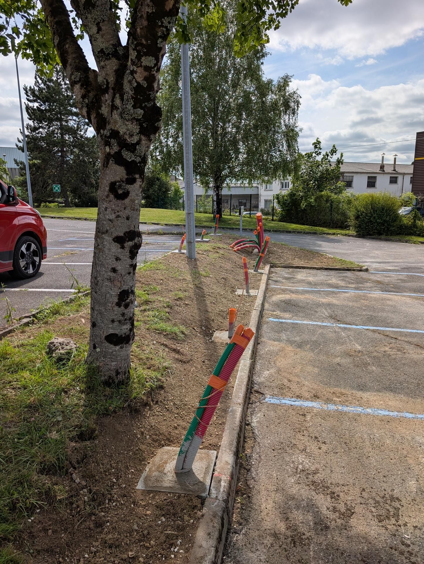 Chantier de construction près d'un arbre et places de stationnement balisées en orange et vert.