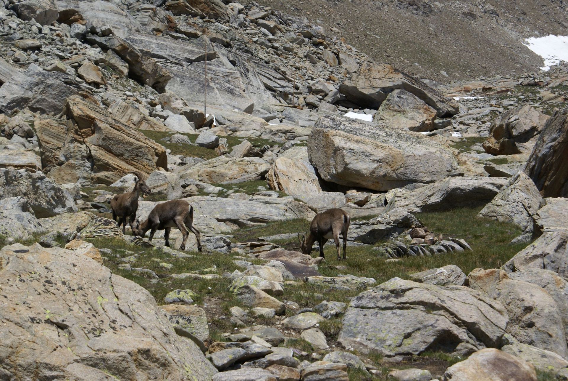 Saas-Almagell - Wellness Hotel Christiania