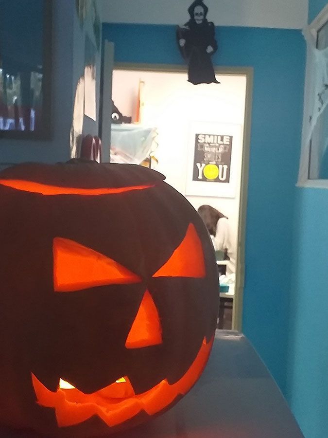 Φροντιστήριο Αγγλικών - Γαλλικών - Γερμανικών -MSL