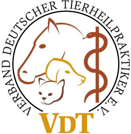 Logo VDT