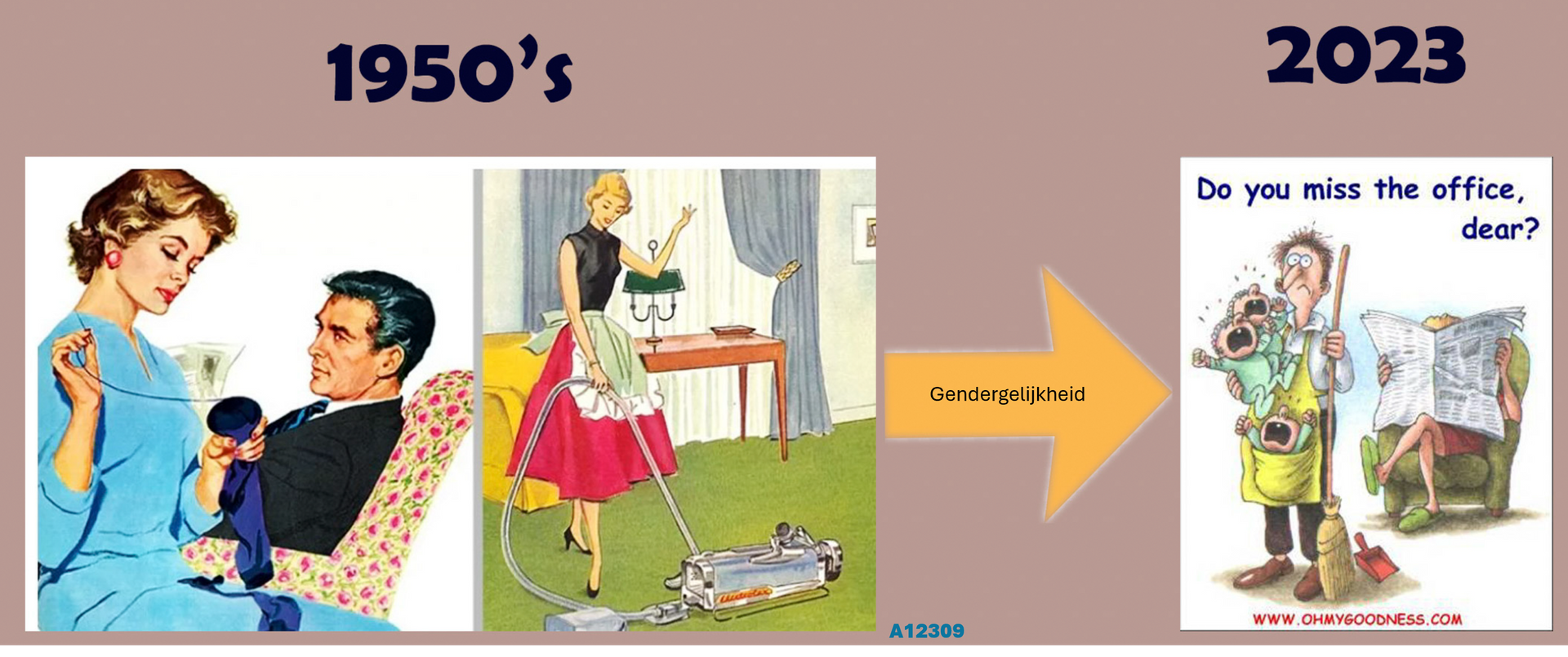 Evolutie naar gendergelijkheid. Van vrouwen aan de haard, naar vrouwen op de kaart.