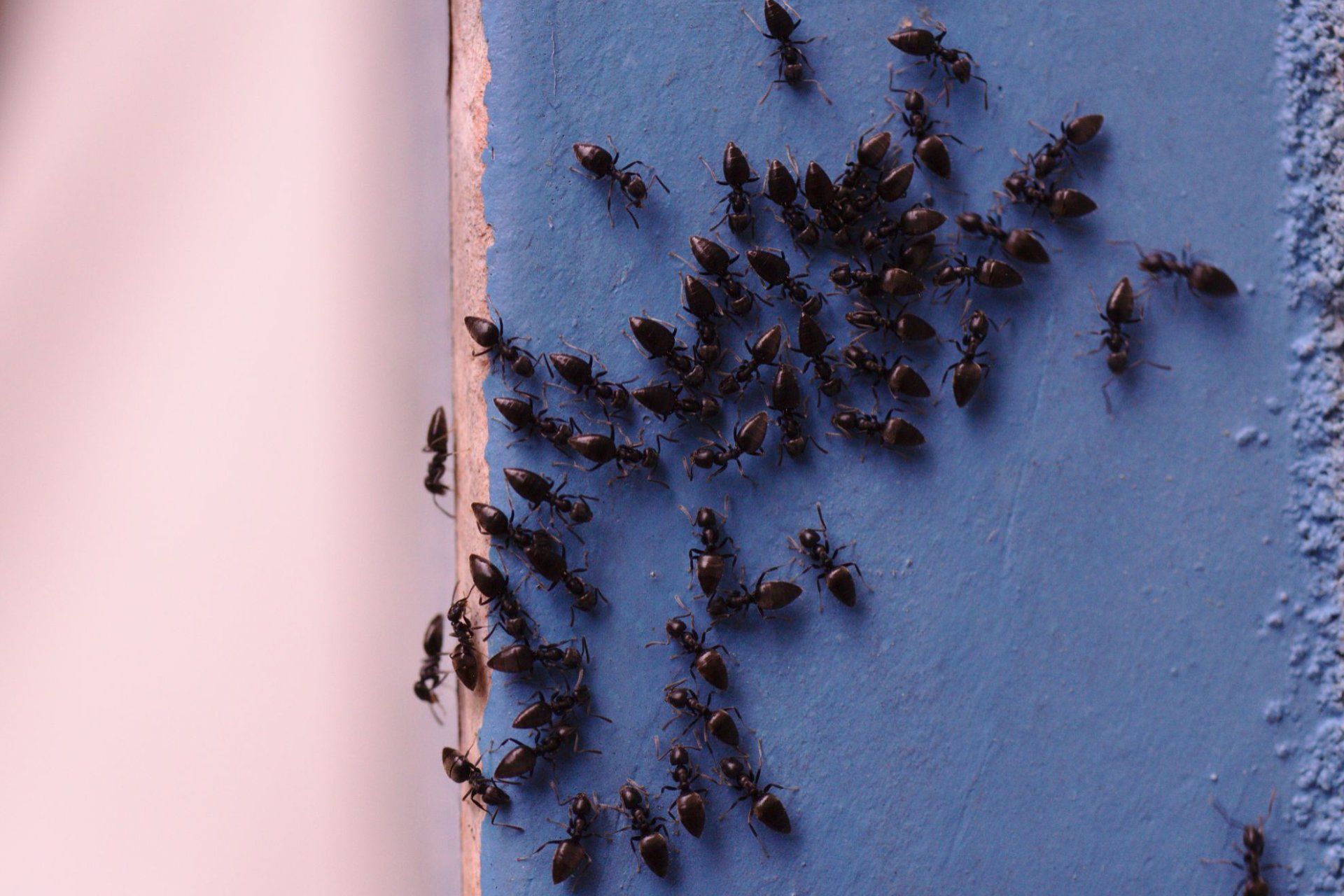 Person in weißem Anzug und Behälter in grün