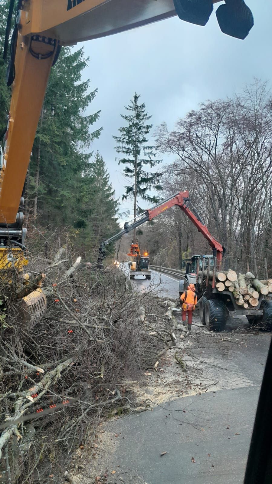 Detailaufnahme eines Baggerarms bei Pflegearbeiten