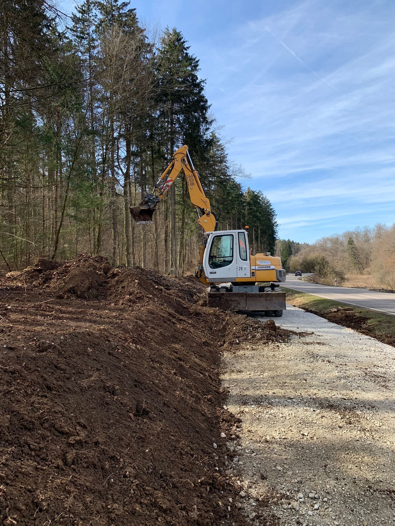 Baggerarbeiten am Waldrand bei Erd- und Wegebau