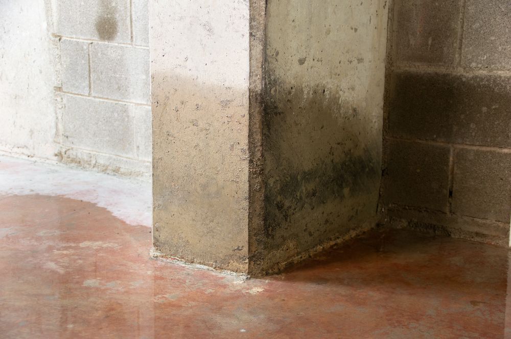 Aufsteigende Feuchtigkeit im Keller, ein Anlass für eine Kellerabdichtung in Herne.