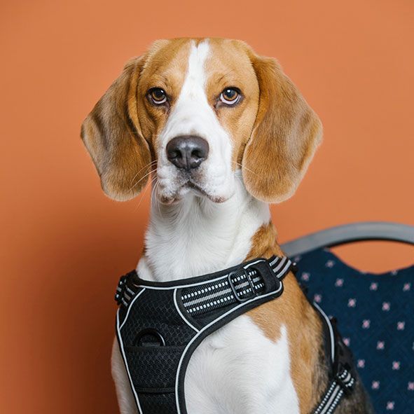 grussendorf-immobilien-jeanette-grussendorf