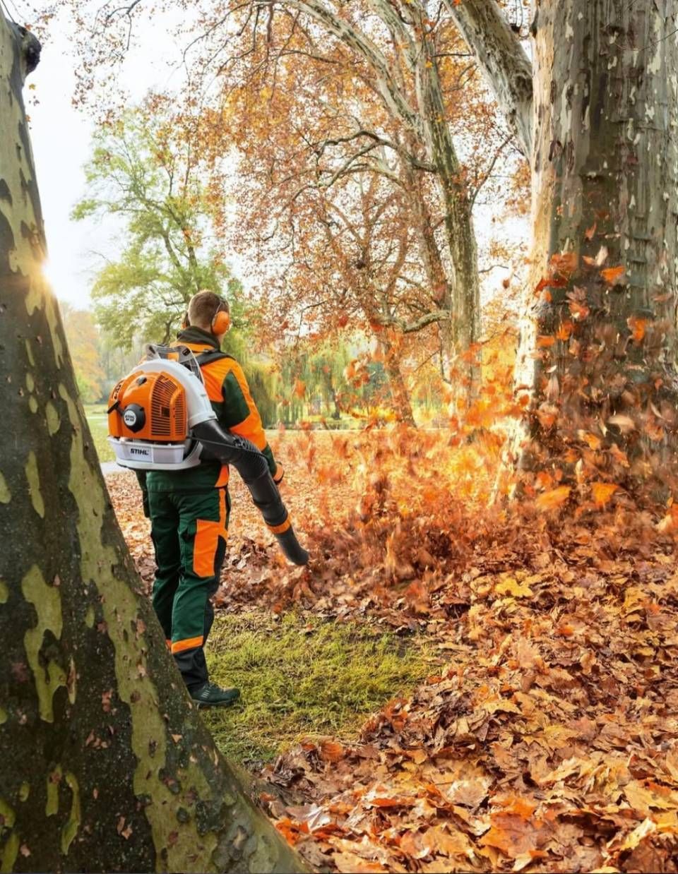 Eine Person in Schutzausrüstung benutzt ein professionelles Laubblasgerät mit Rückentragevorrichtung, um Herbstlaub in einem Waldgebiet zu entfernen.