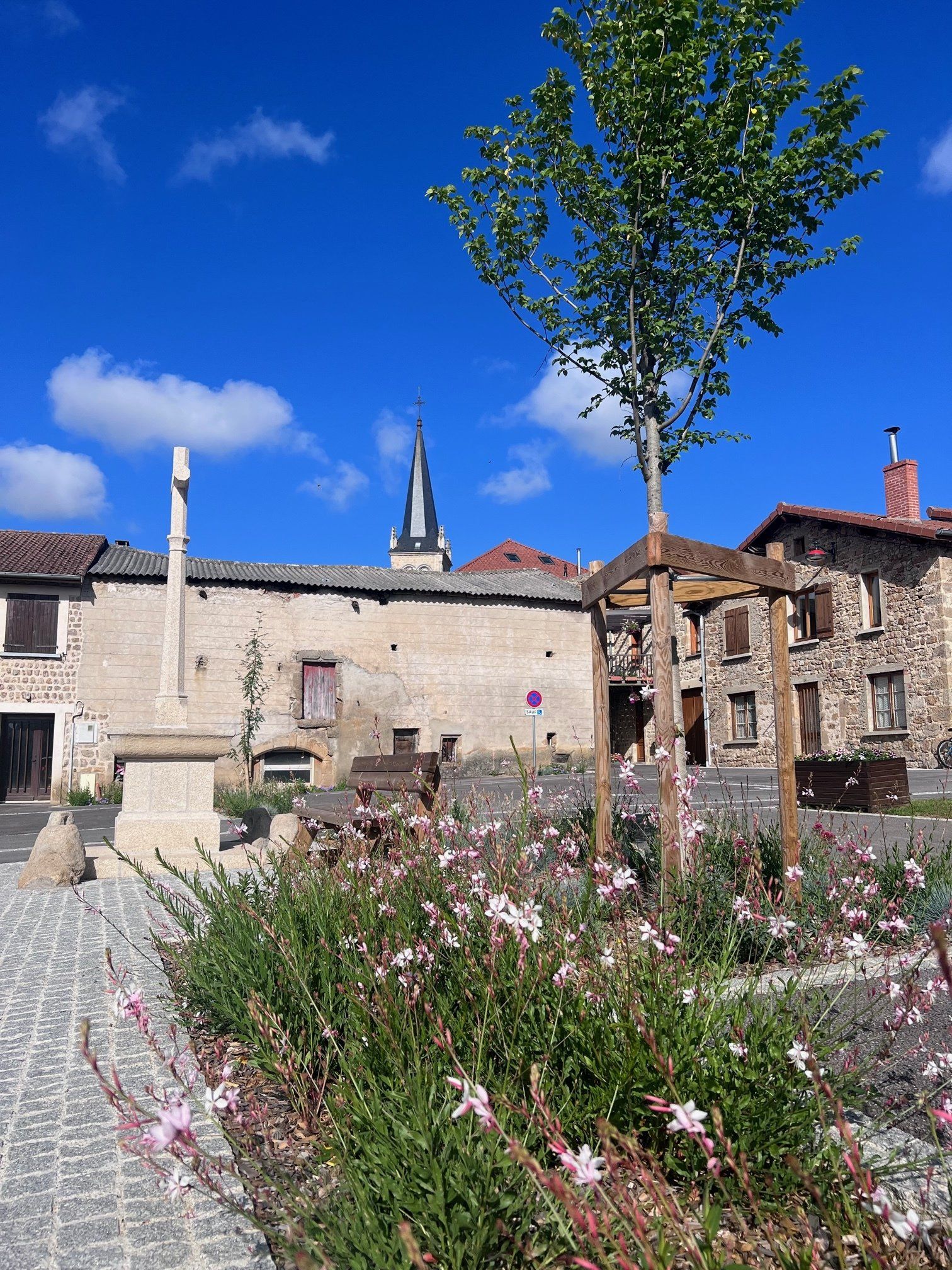 Conception de jardin