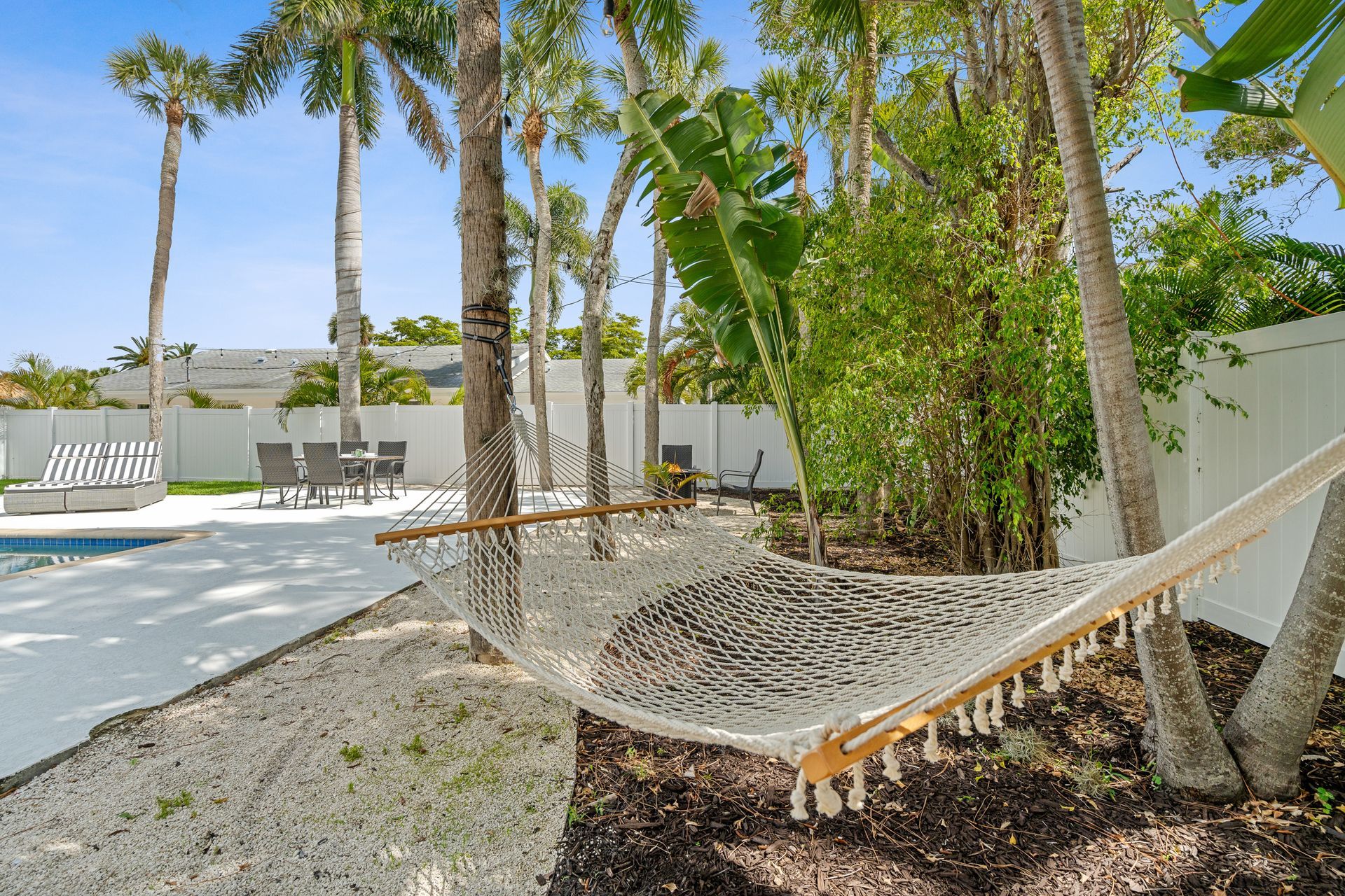 Backyard with palm trees, a white fence, patio chairs, and a hammock beside a pool.