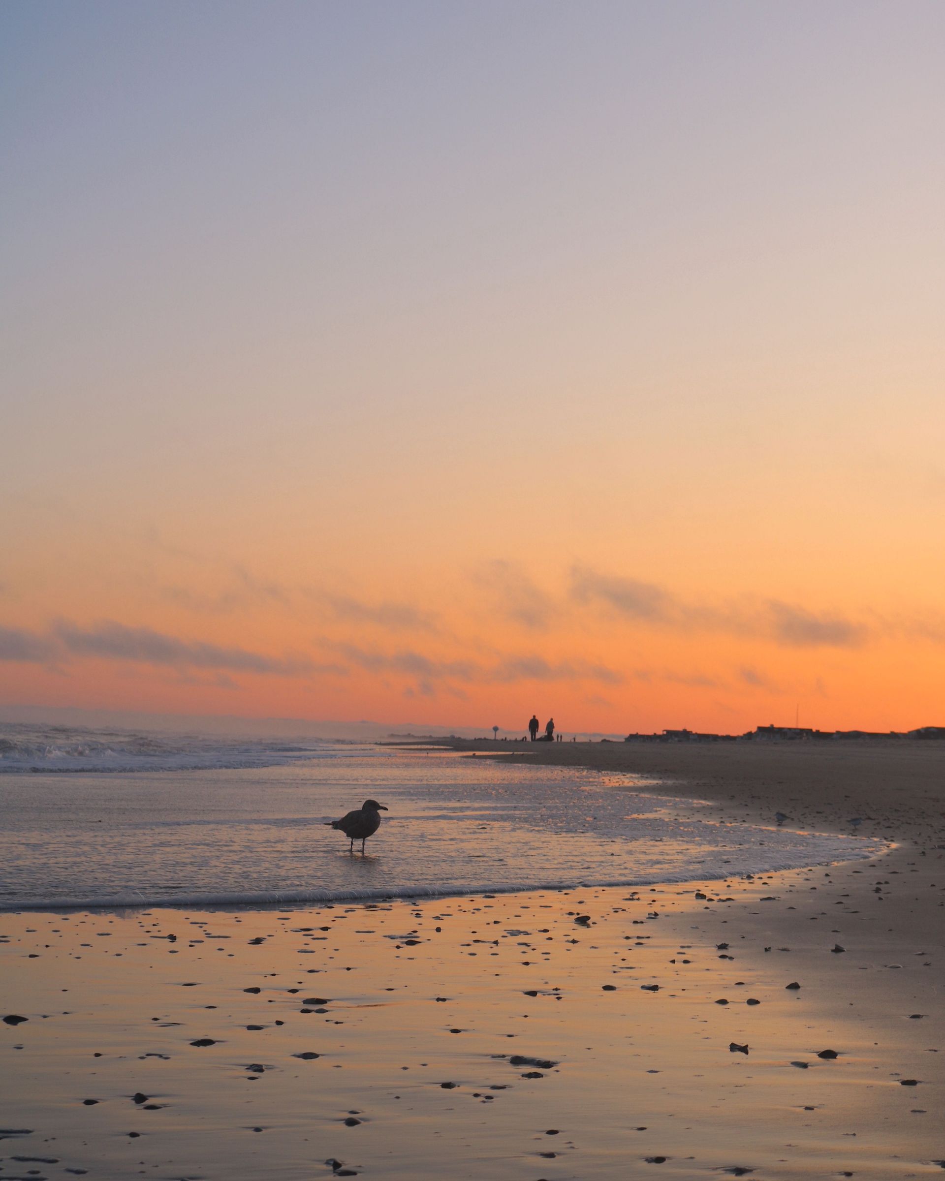 A beach at sunset with orange sky, calm waves, and a lone bird near the shoreline.