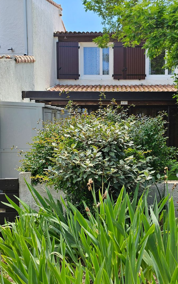 Bâtiment blanc avec des volets marron et un buisson devant un jardin.