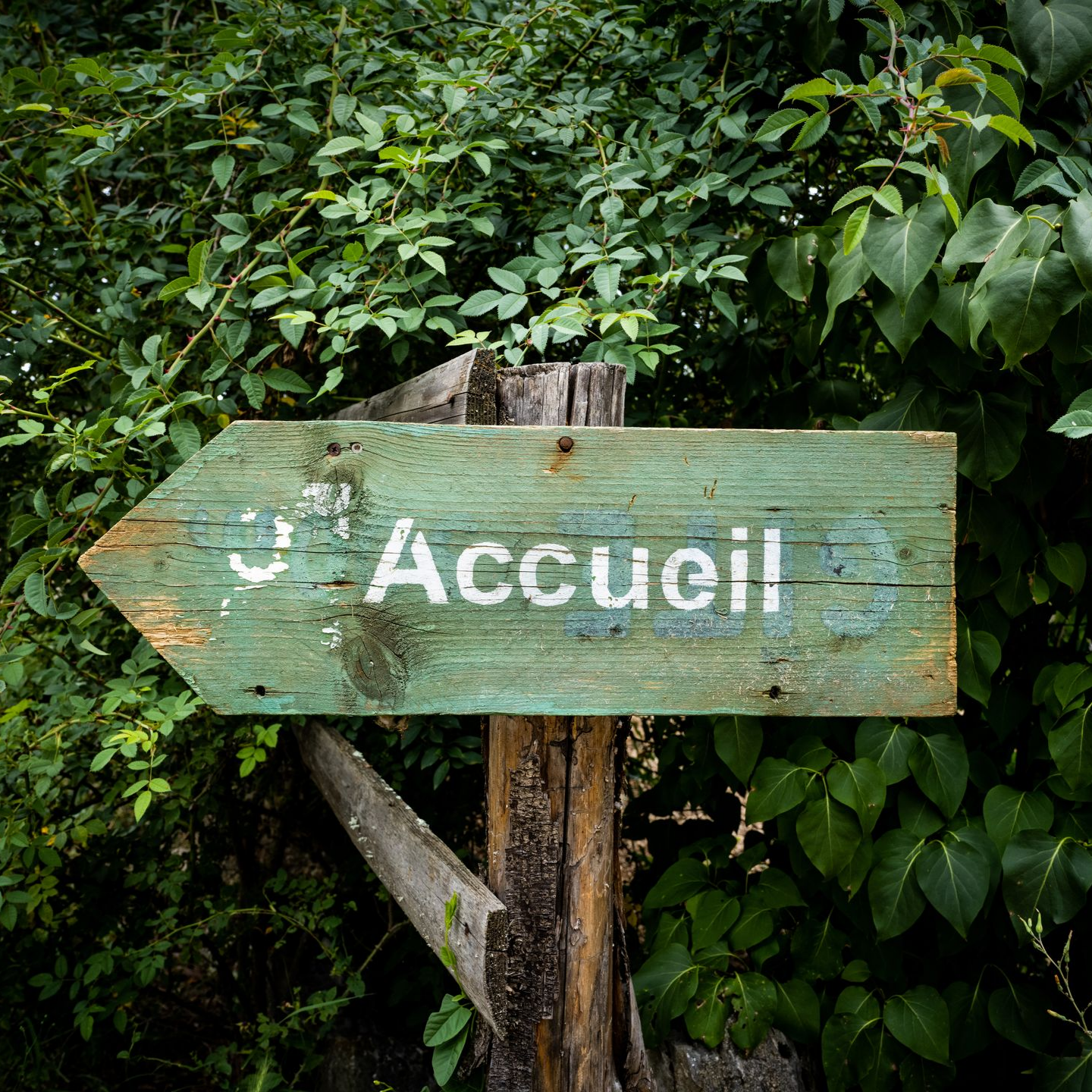 Panneau indicateur en bois vert pointant vers la gauche, avec le mot Accueil inscrit dessus.