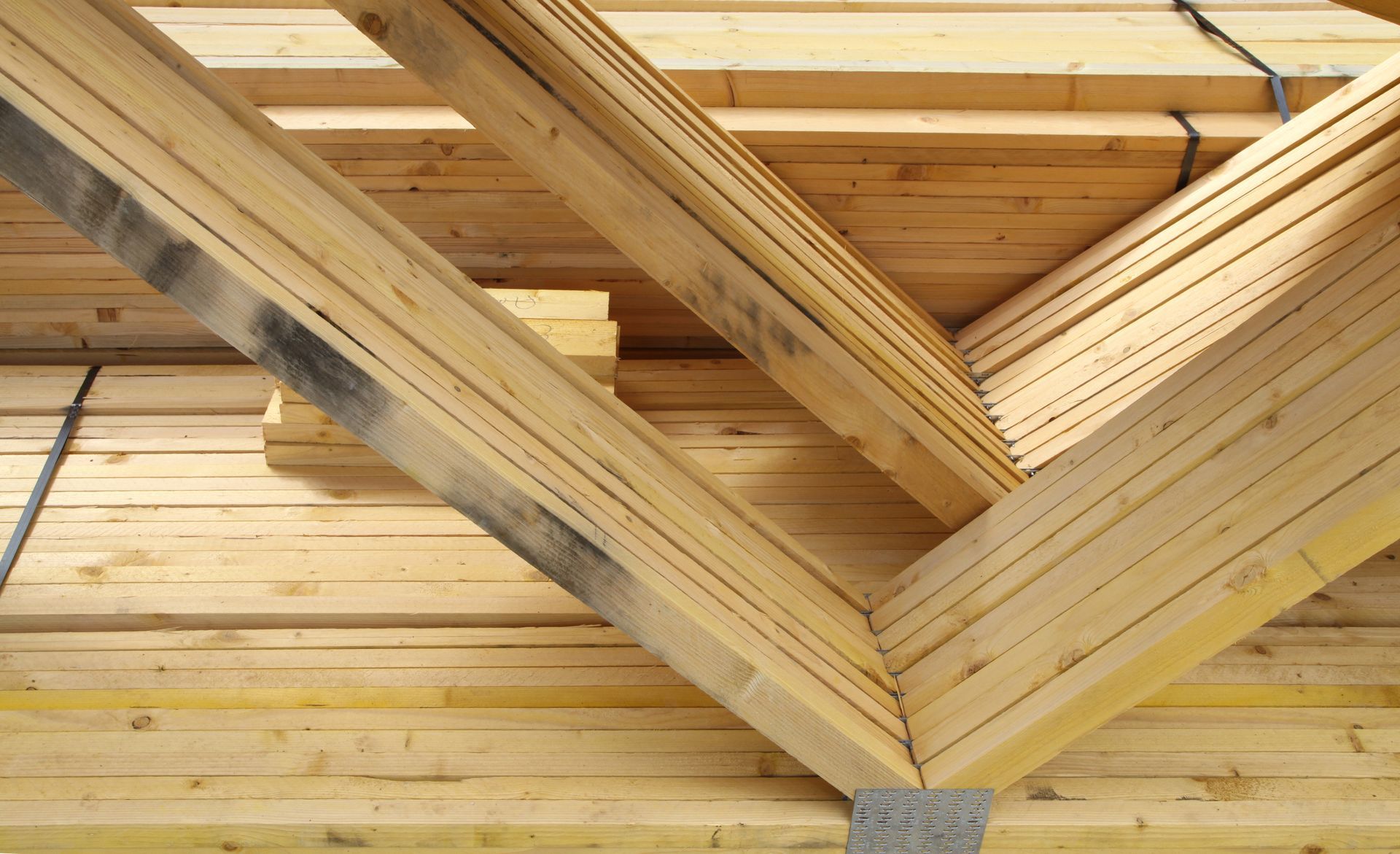 Charpente en bois clair