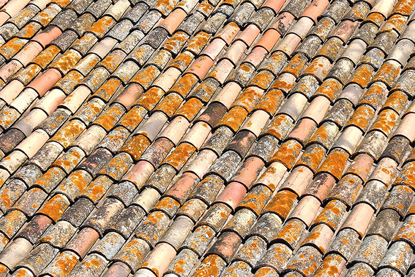 Toit en tuiles recouvert de mousses